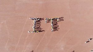 Флешмоб  "День программистов" от студентов КазУТБ кафедры "ИТ"