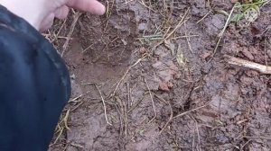 Ака Сигнум мфд краткий обзор глубинной программы под номером 4.