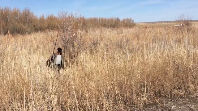 ВЕСЕНИЙ ЖЕРЕХ ! рыбалка на Каратале, Алматинская область, Казахстан, ищем жереха смотреть онлайн