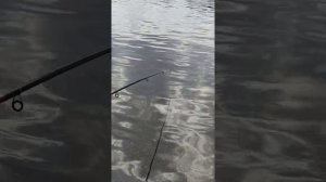 рыбалка на р. Увелка 16.05.21