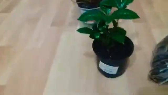 Покупки в ОБИ смотреть онлайн