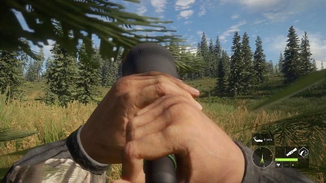 Охота в долине ЮКОНА. Лоси, Карибу, Бизоны - TheHunter Call of the Wild # 124 смотреть онлайн