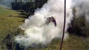 Покос.Ч.1. Обзор одноконной косилки.Косьба травы на лошади