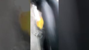Мотоблок по болоту самий лутший внедорожник