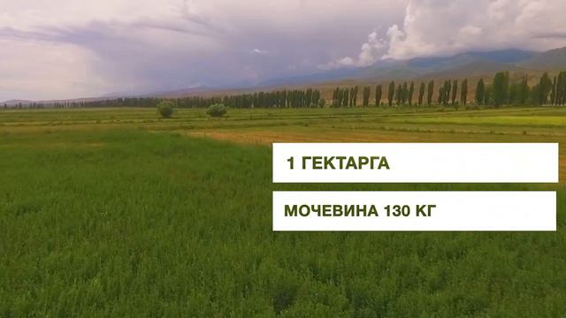 Кормовые травы смотреть онлайн