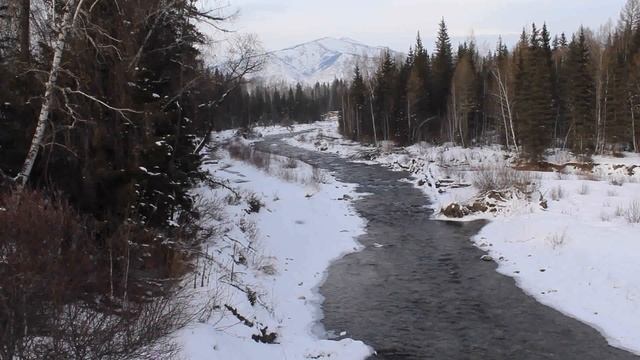 Алтайская сказка "Дети зверя Мааны" смотреть онлайн