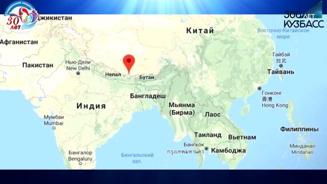 Эверест, Непал смотреть онлайн