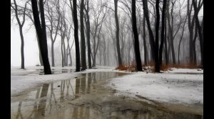 Дождь в январе.(читает автор)