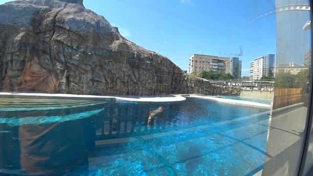 МОСКОВСКИЙ ЗООПАРК / ОТЛИЧНОЕ МЕСТО ДЛЯ СЕМЕЙНОЙ ПРОГУЛКИ / 2023 смотреть онлайн