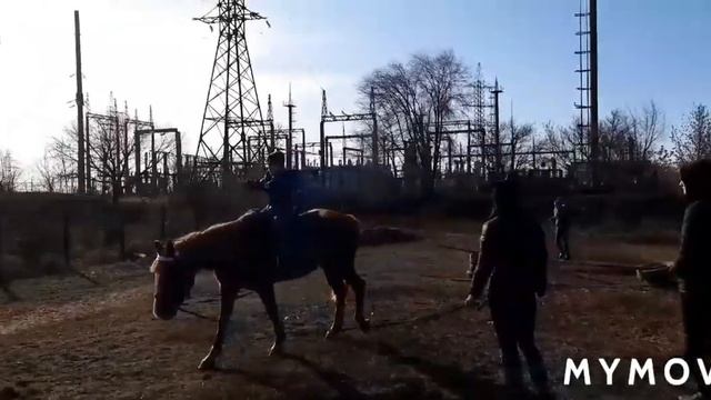 Конные прогулки.