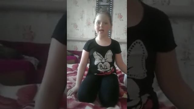 Мой домашний любимец