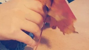 Осенний букет. Как собрать букет из листьев.