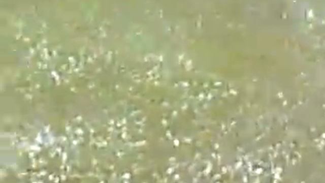 Природное явление смотреть онлайн