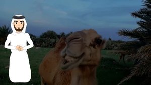 КОГДА ВЫ УЗНАЕТЕ ЭТО О ВЕРБЛЮДЕ,КАК ЕГО СОЗДАЛ АЛЛАХ,ВЫ БУДЕТЕ УДИВЛЕНЫ!