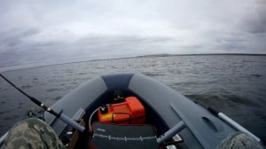 За судаком на финский залив у дамбы 18 08 2023