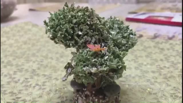 Цетрария. Мох, который растет на глазах.mp4 смотреть онлайн