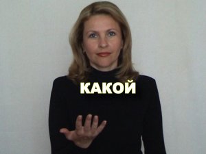 ЖЕСТОВЫЙ ЯЗЫК. СЛОВАРЬ. Какой