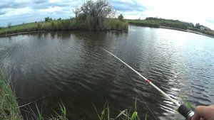 Рыбалка на неогруженный силикон на офсетном крючке ультралайт. Попал на жор окуня