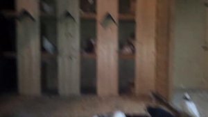 ГОЛУБИ СЕВЕРНОГО КАВКАЗА И КУБАНИ СИДОРОВ МАКСИМ