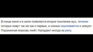 Выращивание УРОЖАЙНОЙ моркови МОЙ СПОСОБ от семян до урожая