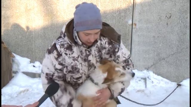 Заберем пушистого друга домой! смотреть онлайн