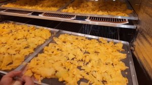 ОГРОМНАЯ сушка тыквы Смотри что получилось
