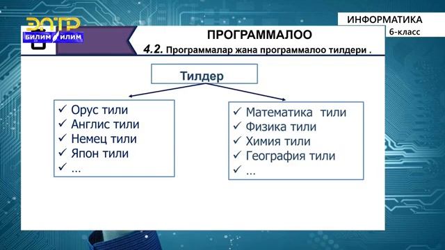 Информатика 6-класс. Программалар жана программалоо тилдери.