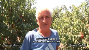Персиковий сад