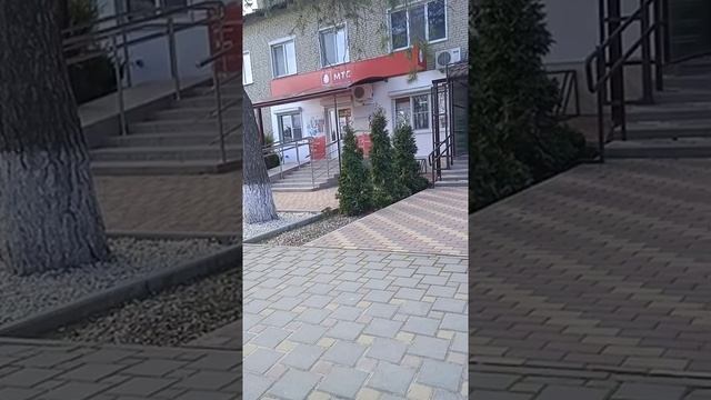 Хотела поплакать о несчастной жизни и тут парня на инвалидной коляске без ног увидела... смотреть онлайн