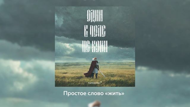 Тамирлан - Один в поле не воин (Премьера трека, 2024) Патриотическая песня
