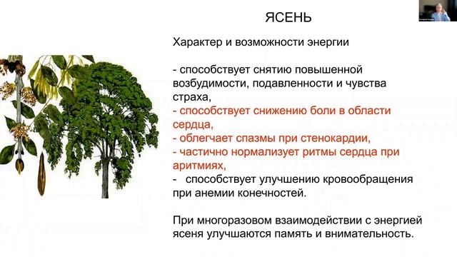 Валерий Уваров о Ясене. Вихревые преобразователи пространства А.А.Тюрина.