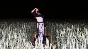 DANCE Rustik《芒种》音阙诗听赵方婧 官方高画质