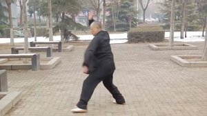 Багуачжан лунсин (八卦掌龍形) или "Ладонь восьми триграмм форма дракона".