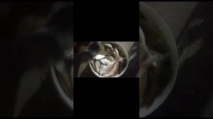 Рыбалка в темрюкском районе 2022 тарань