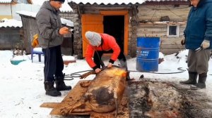 НОВАЯ ПРОФЕССИЯ В КРИЗИС!