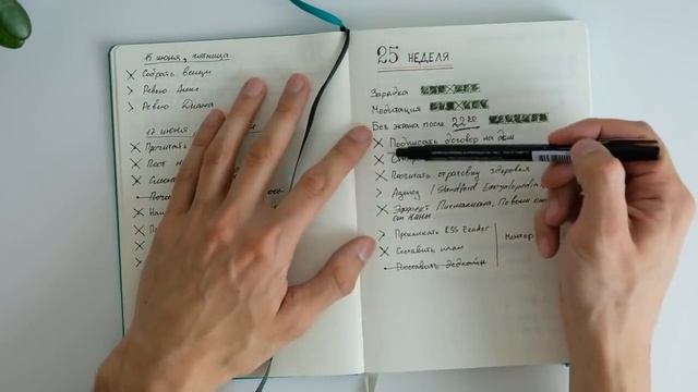 Как я веду ежедневник Bullet Journal в 2019. Система учета жизни