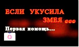 Первая помощь при укусе змеи