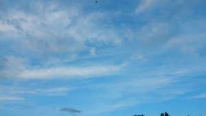 Испытание ЗРБ   40 день