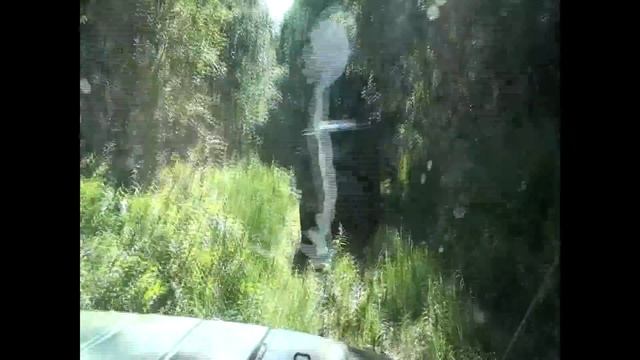 Луаз и тайга смотреть онлайн