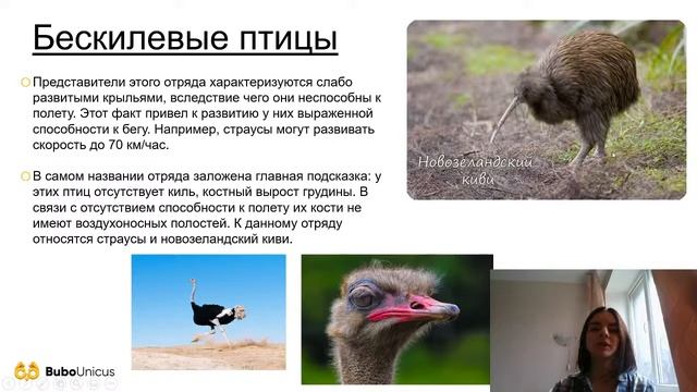 Отряды Хордовых | БИОЛОГИЯ ЕГЭ 2021 смотреть онлайн