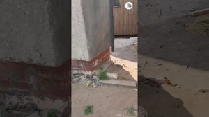 Отзыв на забор-жалюзи от Завода Новый Дом