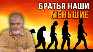 Братья по разуму.  Андрей Буровский.