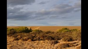 Расслабляющая Казахская Национальная музыка под домбру