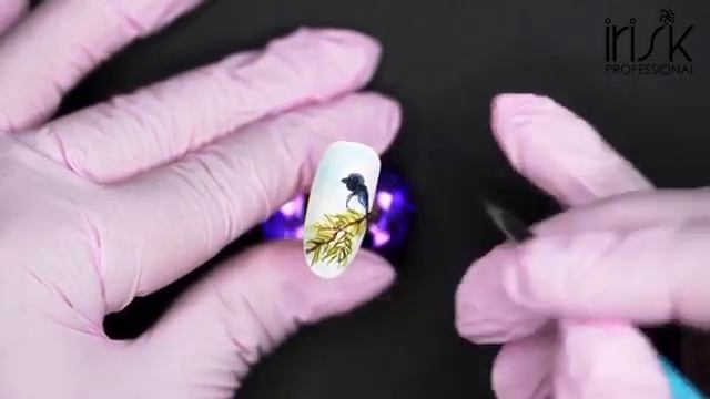 Зимний дизайн "Снегирь" смотреть онлайн