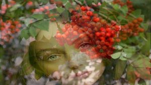РЯБИНА (видео и исполнение автора, музыка караоке)