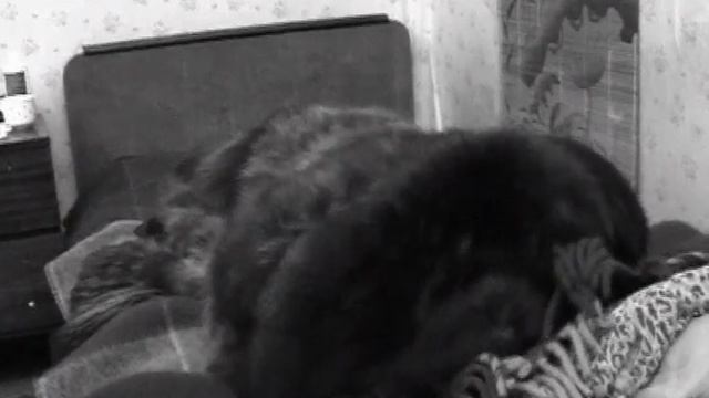 Мария Агапова. Стихоклип. Я помню день...