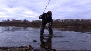 Осенний скагит c Fly-Fishing.ru