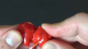 Kinder Surprise - Shrek