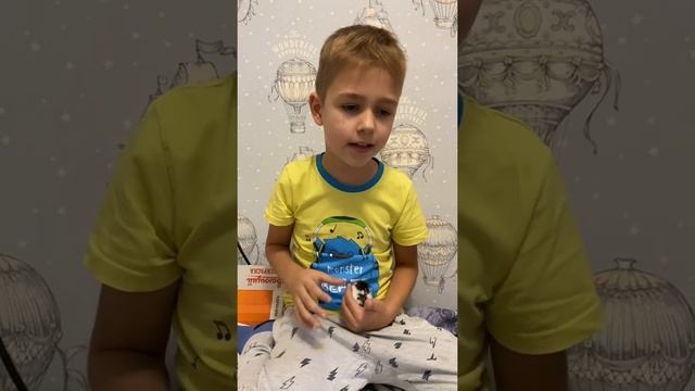 Что можно и что нельзя давать кушать хомякам и 2 породам хомяков