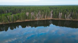 3-й кардон. Заводоуковский район.